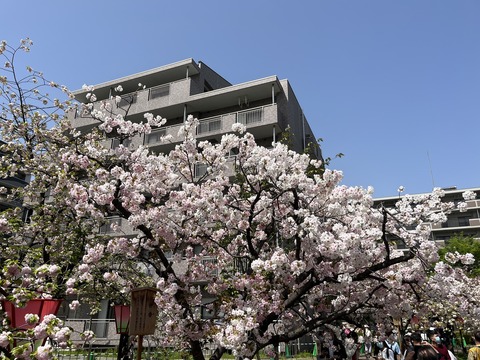 52FD8584-D06C-407F-B2D5-AE714FAF9A58