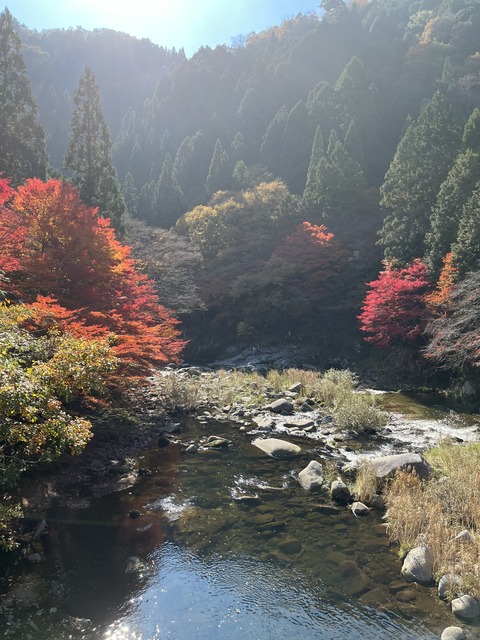 6AA7927D-F9B3-4654-B9ED-77CDB0597F32