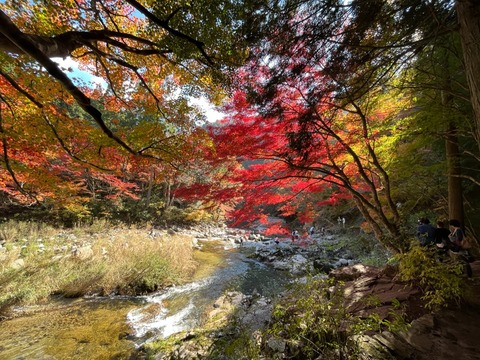 D114F963-C799-4AA8-8C40-89A2CCD0BB32