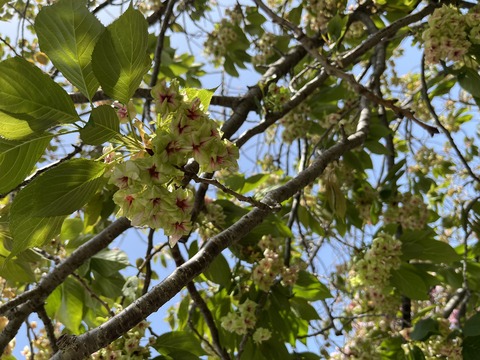 4D513A8D-BE07-49C1-99AA-65C3EA821BE3