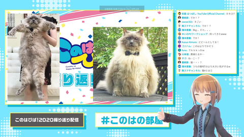 スクリーンショット (962)