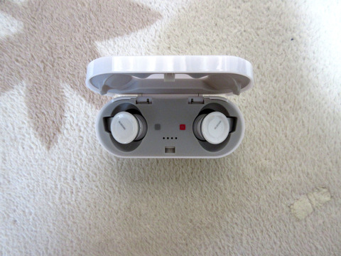 CANON_IXY630_0284