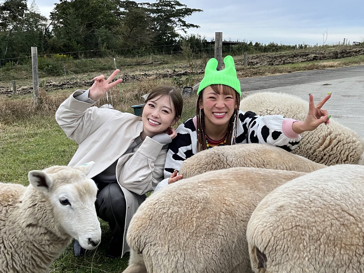 【白石麻衣】まいやん、お尻を堪能してしまうｗｗｗｗｗｗｗｗｗｗｗｗｗｗ