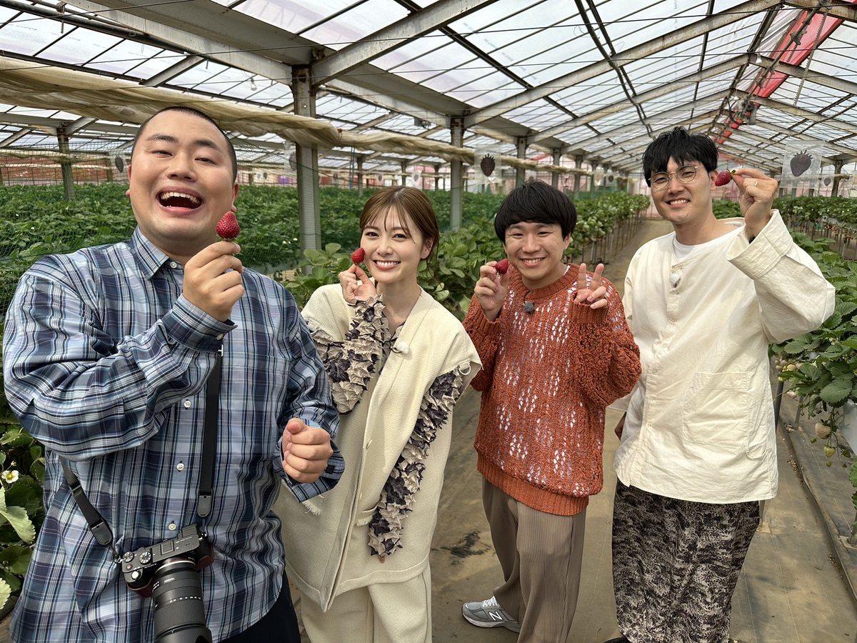 【白石麻衣】まいやん、ハリネズミみたいな服着てるwwwwwwwwww