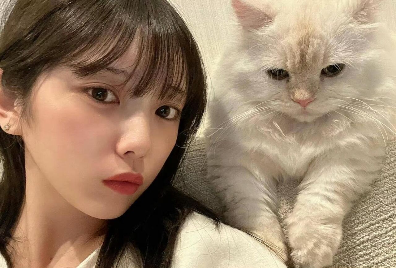 【乃木坂46】与田「え、こう….び？」