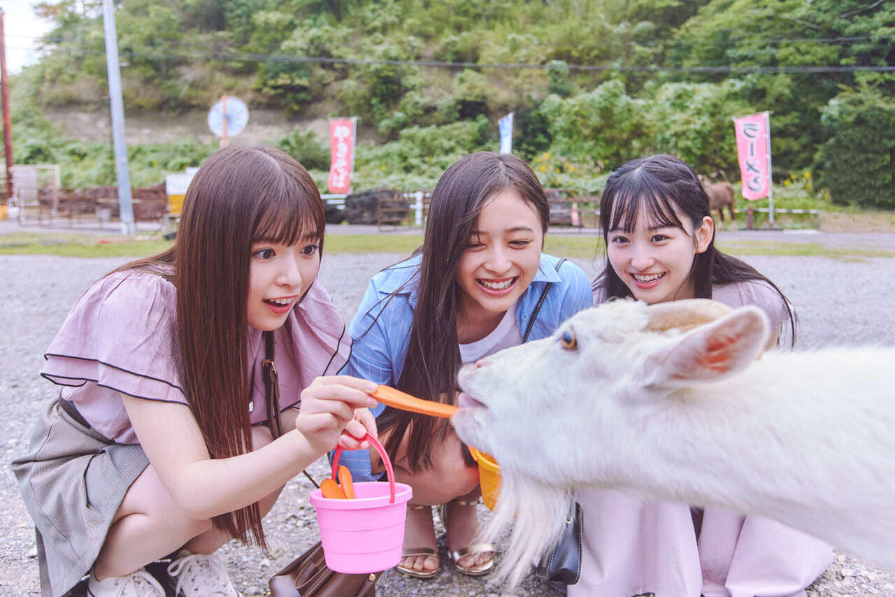 【乃木坂46】よだちゃん目線でもうちょっとでパ〇チラｗｗｗｗｗ