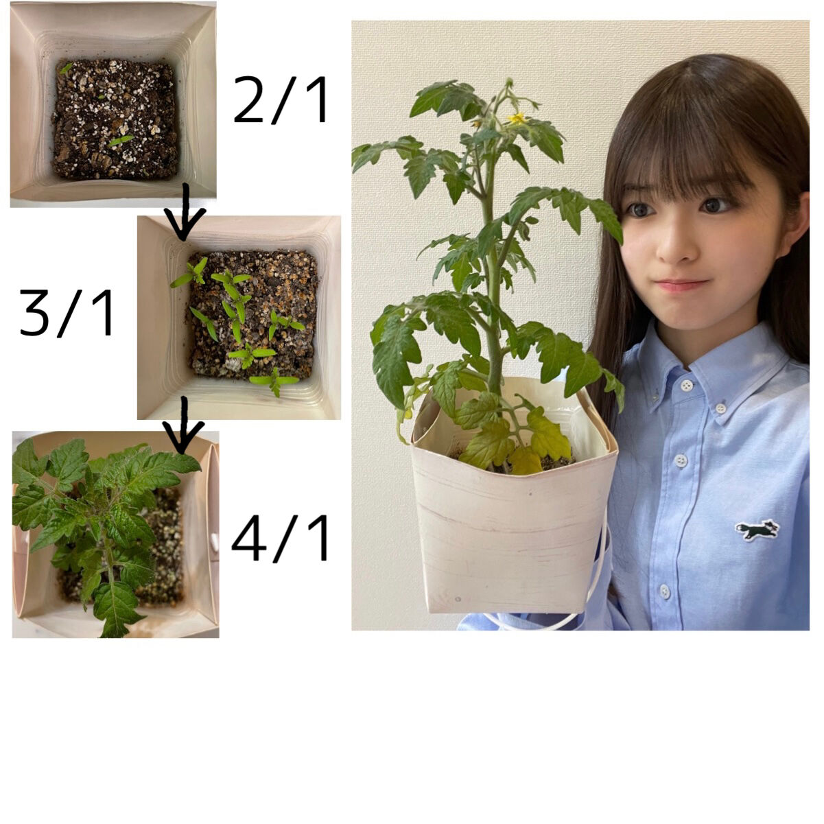 【小川彩】推しは別にいても乃木坂で一番可愛いのは間違いない？