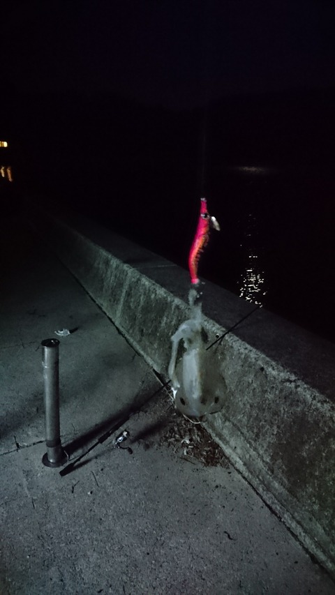 [画像:9eeacdd0-s.jpg]