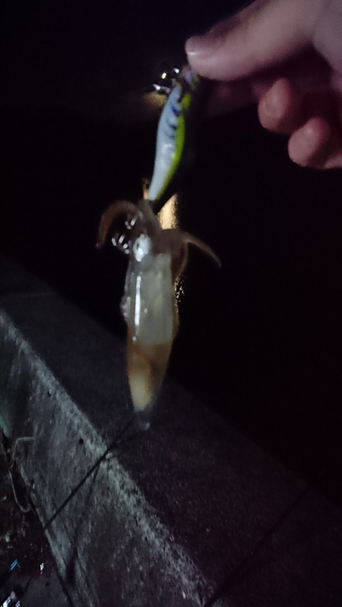 [画像:f04b636e-s.jpg]