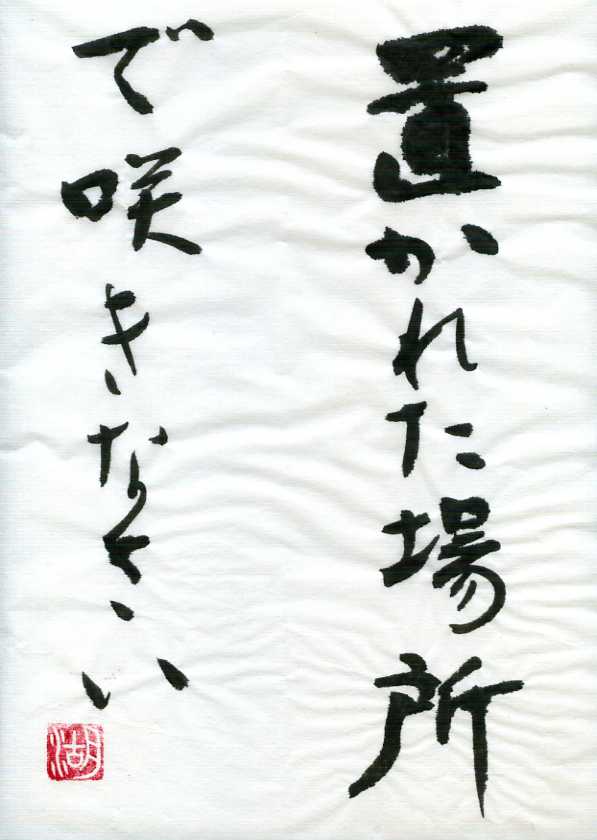 置かれた場所で咲きなさい