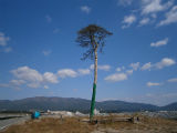 PA300078