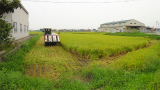 DSC00314