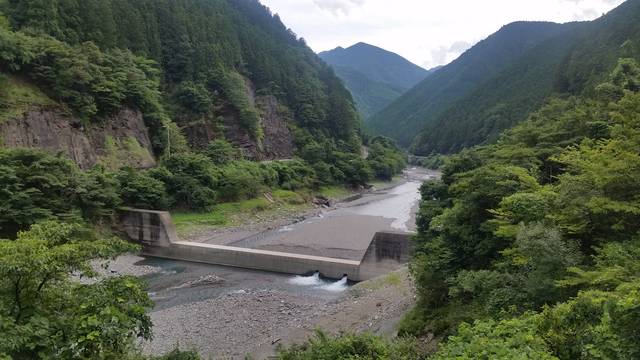 蓮ダム湖でも鮎が産卵しています 三重県議会議員 田中ゆうじ