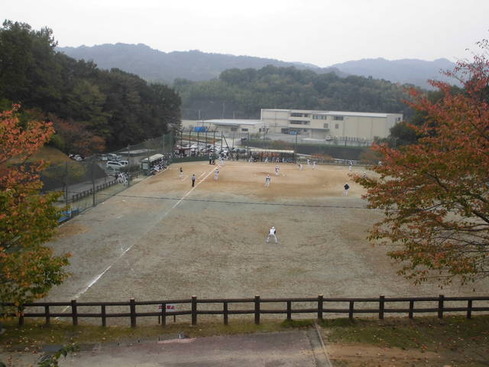 CIMG0254