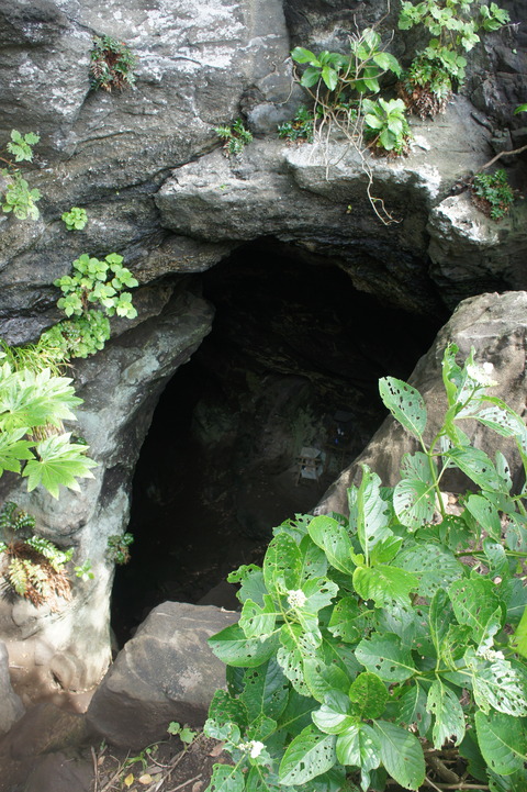 DSC08953