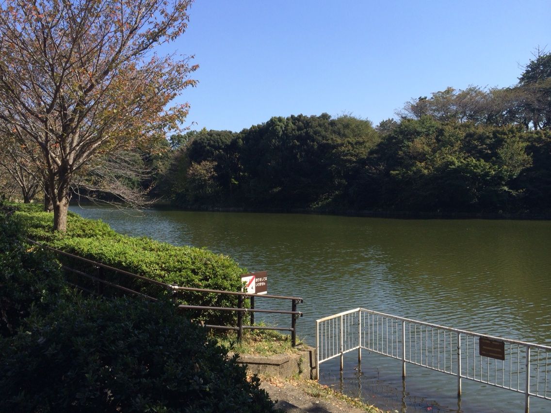 横浜三ツ池公園にあそびにいってきた わが子と親父のネイチャー アウトドア活動日記 横浜三ツ池公園にあそびにいってきた わが子と親父のネイチャー アウトドア活動日記