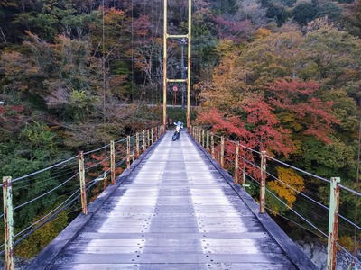 井川大橋とD-Tracker150SE