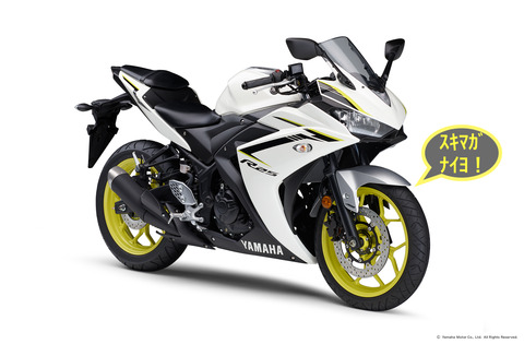 yzf-r25_フェンダー隙間