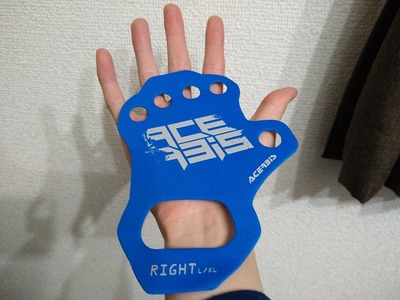 パームプロテクター載せる
