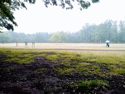 雨の小金井公園写真