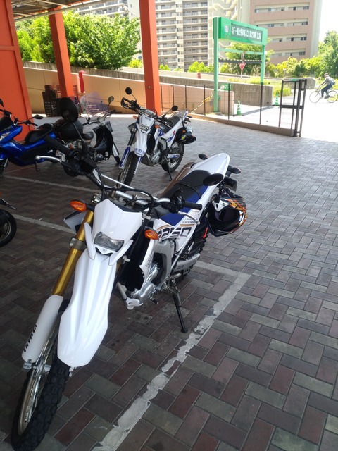 WR250R納車直後の初めての写真