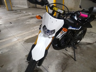 D-Tracker150SEとイカリング