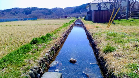 長閑な水路