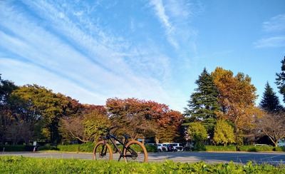 小金井公園と秋の空の写真