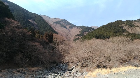 大自然の写真