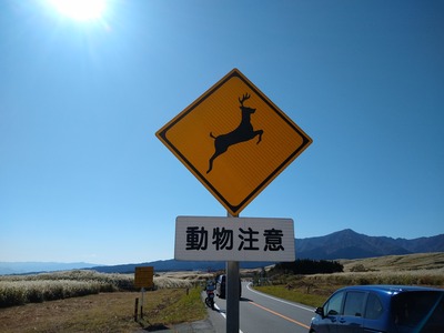 469号線動物注意看板