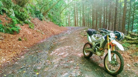 林道とWR250R