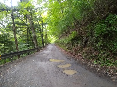 ほぼ舗装林道。
