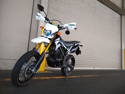 ナックルガード装着D-Tracker150se