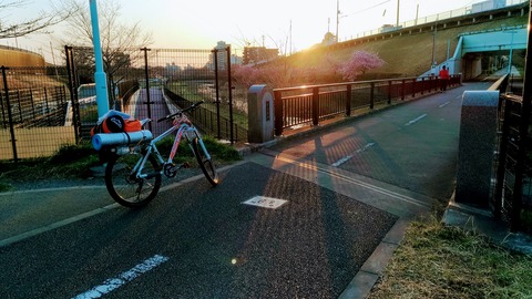 朝日と多摩湖自転車道