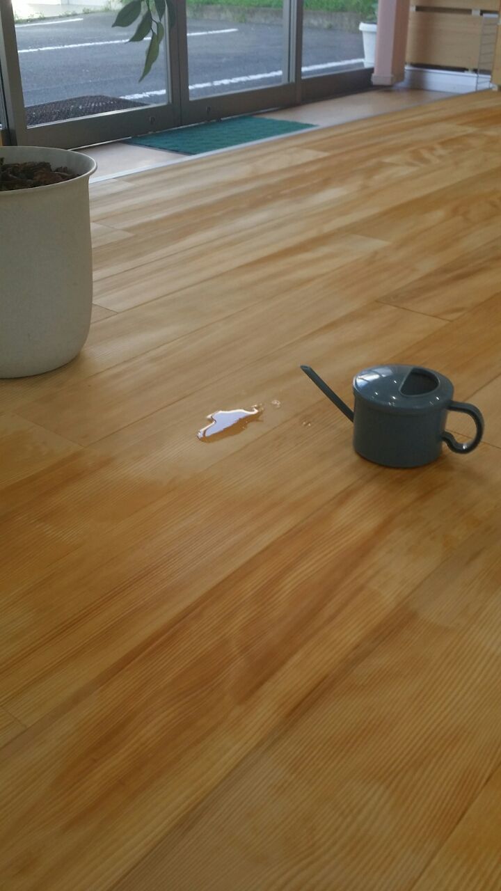 もみの木の床のお手入れ もみの木の家づくりはじめました