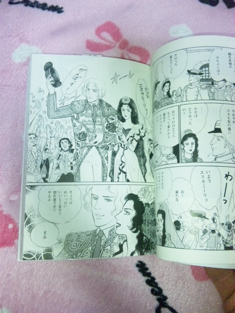 里中満智子 カルメン 空にある色