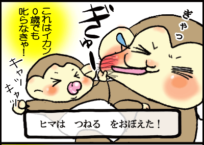 しつけ_見出し