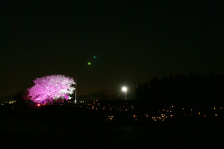 120407-yozakura03