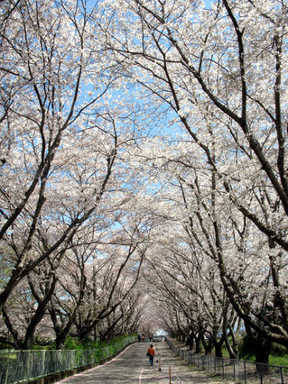 090329-nishihitoyoshi01