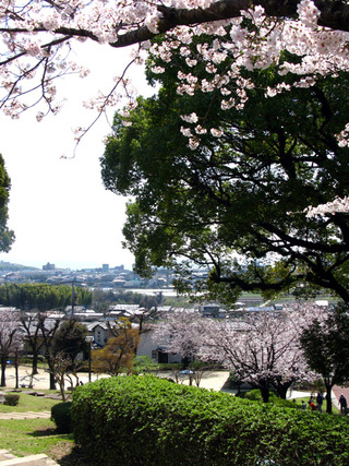 120402-hanami02