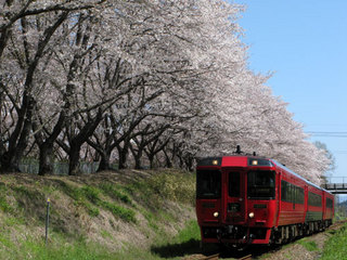 090329-nishihitoyoshi03