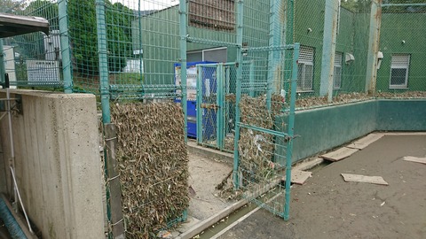 [画像:036e25c5-s.jpg]