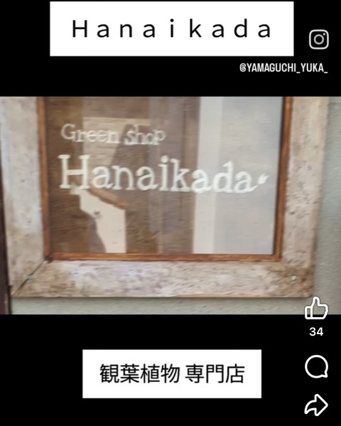 15C2691F-80B3-43D1-B035-463A74783034