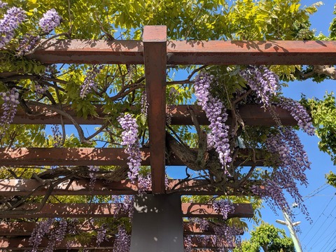 0AC0D01F-789B-4417-80F5-752C97500678