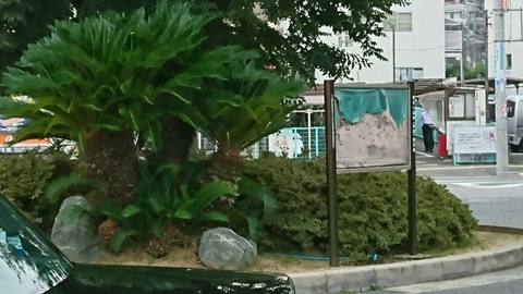 [画像:0dad7628-s.jpg]