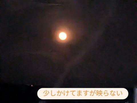 D3F89C3F-14EB-41B3-B481-E5259CEB737D