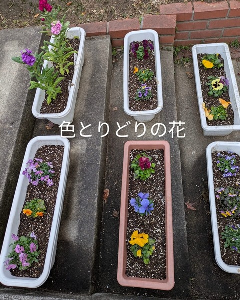 3947873E-38CC-4FA5-B50E-AA3092C3AEDF