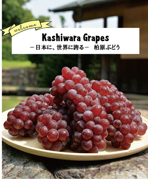 grape_top_main03