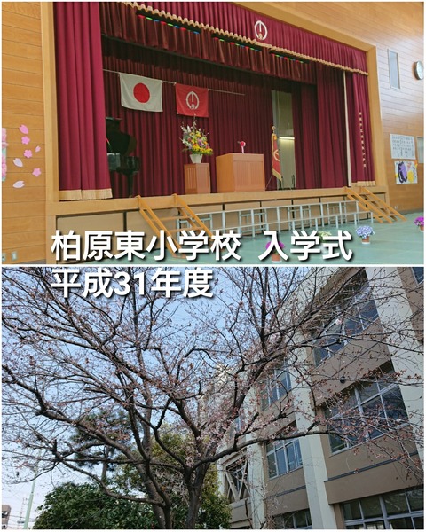 PhotoGrid_1554343131518