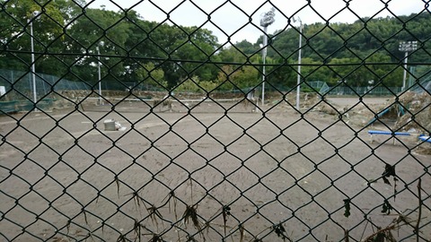 [画像:67ae9661-s.jpg]